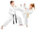 Karate Classes In Kingwood TX logo